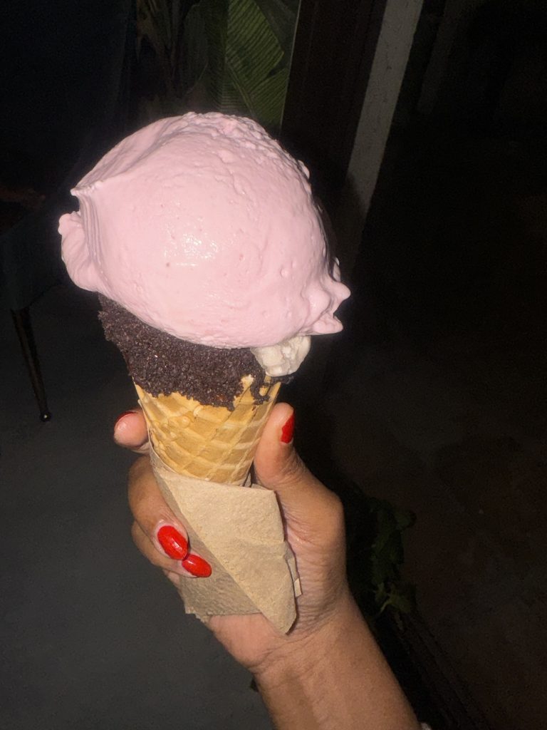 Coconut-based vegan ice cream at Goji Berry