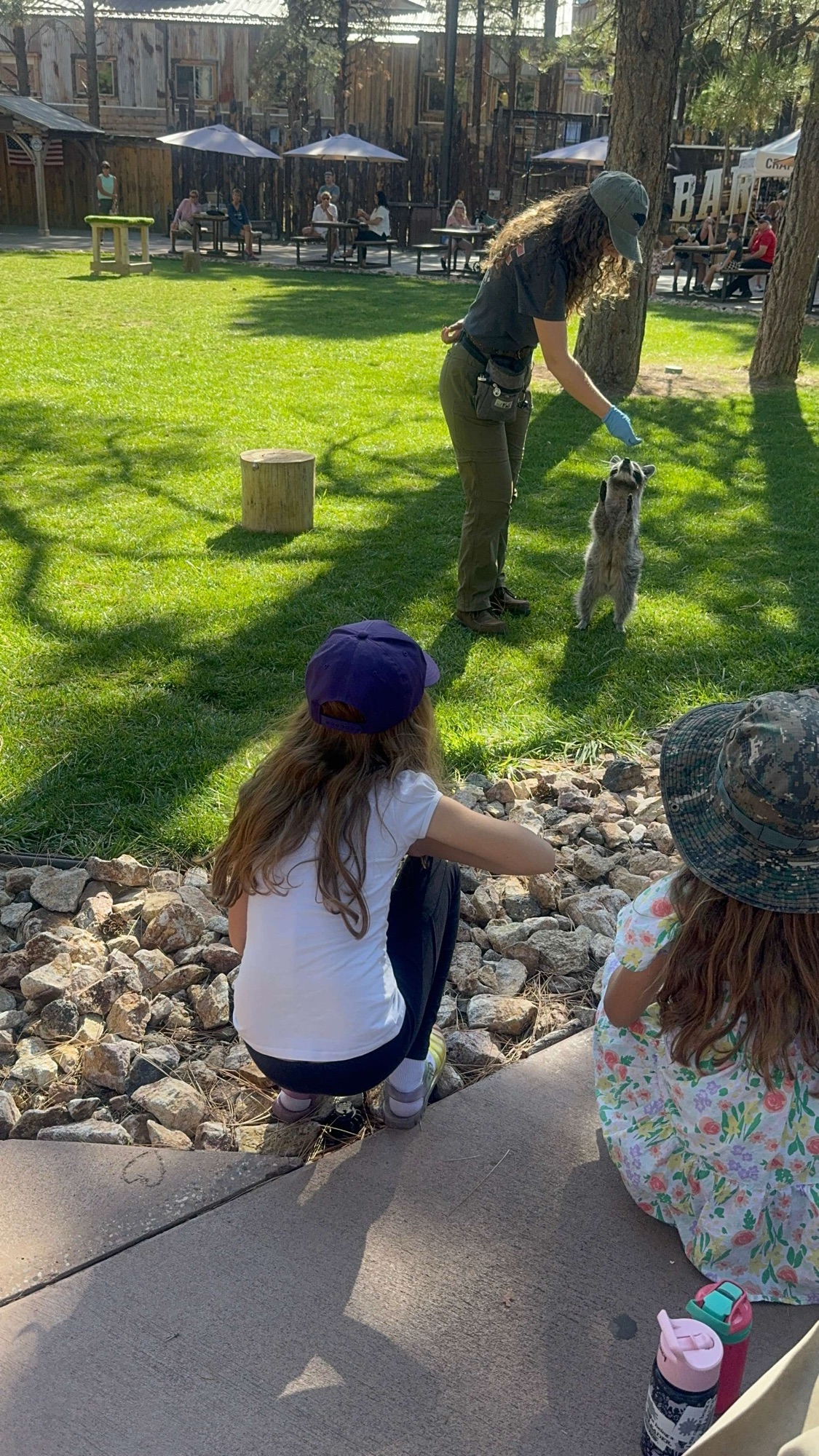 Family car viewing wildlife at Bearizona near Flagstaff